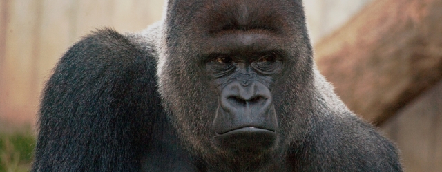 Heidelberger Zoo - Leben live erleben