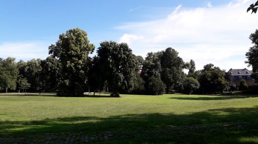 Unterer Luisenpark: vormittags um 11.00 Uhr