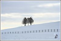 Winterzauber auf der schwäbischen Alb