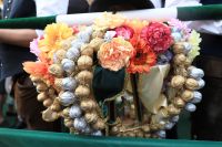 Neustifter Kirtag 2025 in Wien Neustifter Kirtag 2025 in Wien